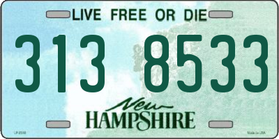 NH license plate 3138533