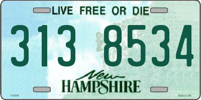 NH license plate 3138534