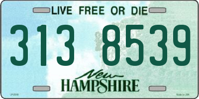 NH license plate 3138539