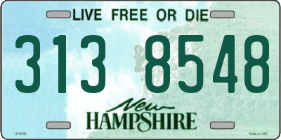 NH license plate 3138548