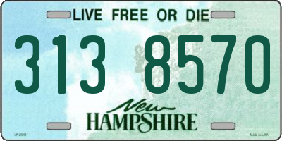 NH license plate 3138570