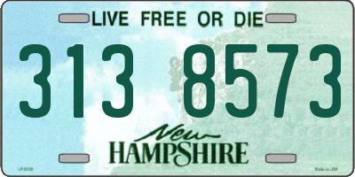 NH license plate 3138573