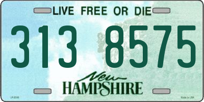 NH license plate 3138575