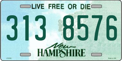 NH license plate 3138576