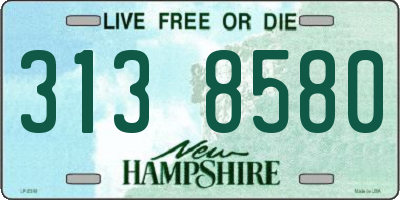 NH license plate 3138580