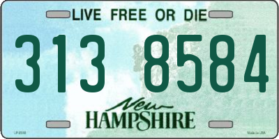 NH license plate 3138584