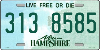 NH license plate 3138585