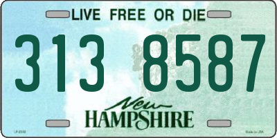 NH license plate 3138587