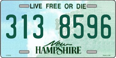 NH license plate 3138596