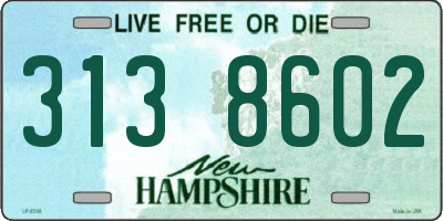 NH license plate 3138602