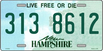 NH license plate 3138612