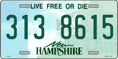 NH license plate 3138615