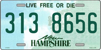 NH license plate 3138656