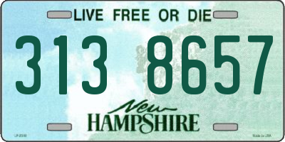 NH license plate 3138657