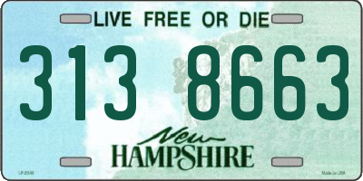 NH license plate 3138663