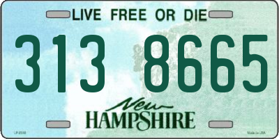 NH license plate 3138665