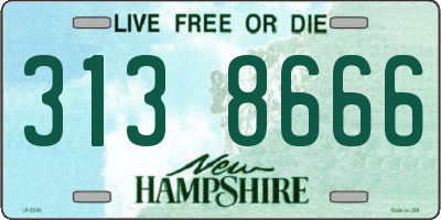NH license plate 3138666