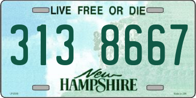 NH license plate 3138667