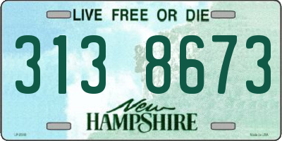 NH license plate 3138673