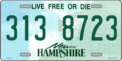 NH license plate 3138723