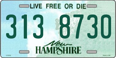 NH license plate 3138730