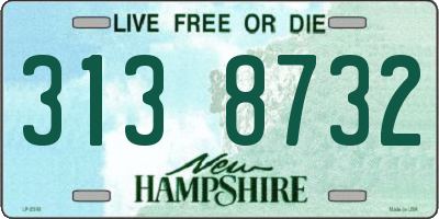 NH license plate 3138732