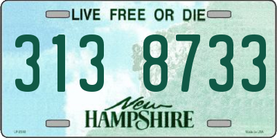 NH license plate 3138733