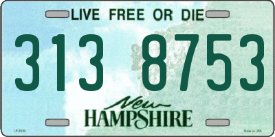 NH license plate 3138753