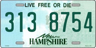 NH license plate 3138754