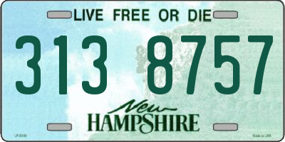 NH license plate 3138757