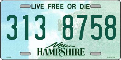NH license plate 3138758