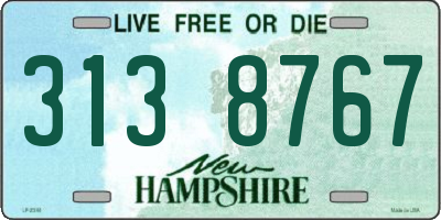 NH license plate 3138767
