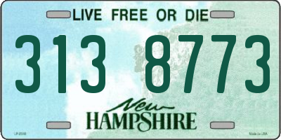 NH license plate 3138773