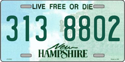 NH license plate 3138802