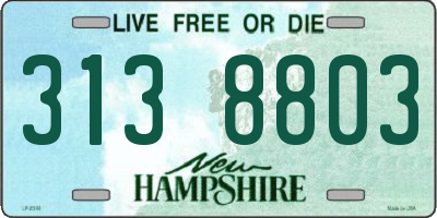 NH license plate 3138803