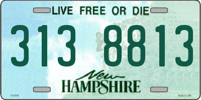 NH license plate 3138813