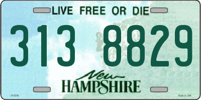 NH license plate 3138829