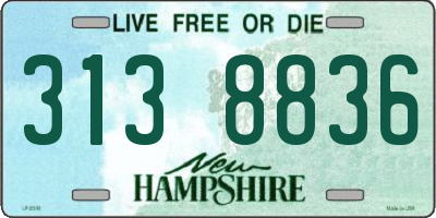 NH license plate 3138836