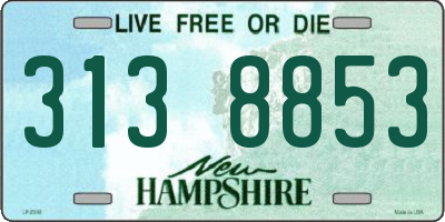 NH license plate 3138853