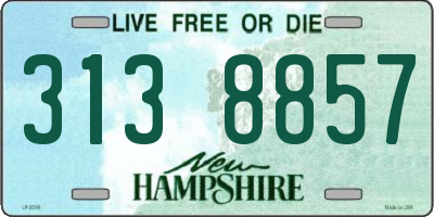 NH license plate 3138857