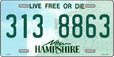 NH license plate 3138863