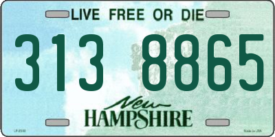 NH license plate 3138865