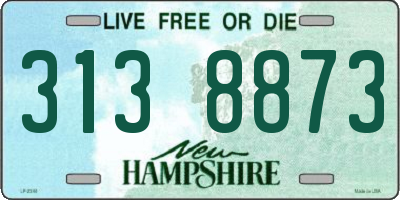NH license plate 3138873
