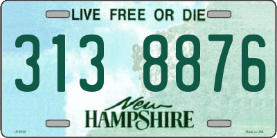NH license plate 3138876