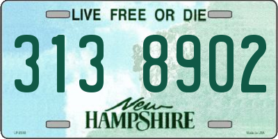 NH license plate 3138902