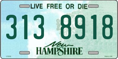 NH license plate 3138918