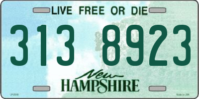 NH license plate 3138923