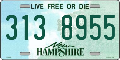 NH license plate 3138955