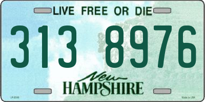 NH license plate 3138976