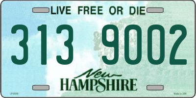 NH license plate 3139002